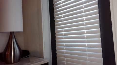 Snapshot of zamoraedii1994 chatting on January 2, 4:46 pm Edii online show from January 2, 4:46 pm