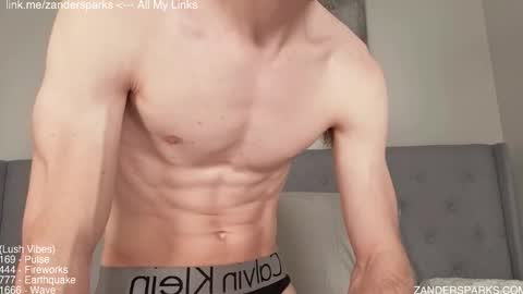 Snapshot of zandersparks chatting on November 15, 1:03 am Zander Sparks online show from November 15, 1:03 am