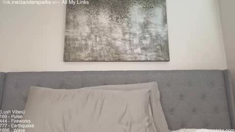 Snapshot of zandersparks chatting on November 22, 7:24 pm Zander Sparks online show from November 22, 7:24 pm