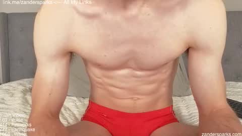 Snapshot of zandersparks chatting on November 29, 12:13 am Zander Sparks online show from November 29, 12:13 am