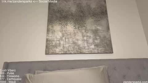 Snapshot of zandersparks chatting on December 1, 2:27 am Zander Sparks online show from December 1, 2:27 am