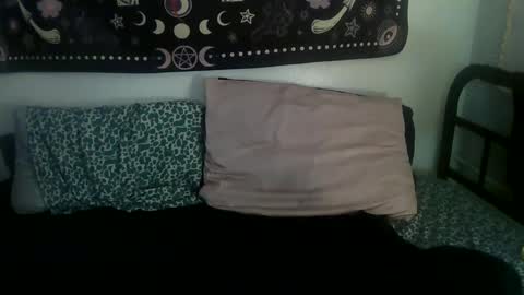 Zelda online show from February 17, 2:09 am