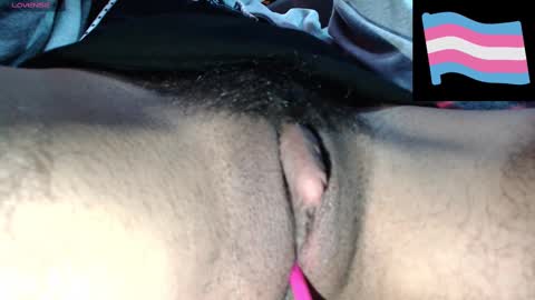 Zeldris online show from December 3, 4:17 pm