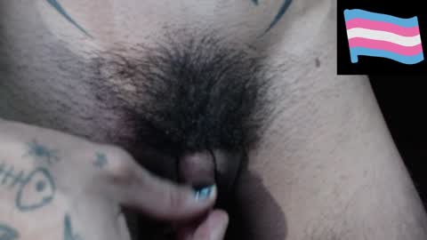 Zeldris online show from December 14, 11:12 pm