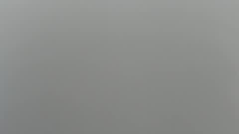 zeus online show from March 3, 9:05 pm