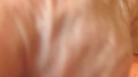 zevioo77 online show from November 18, 11:58 am