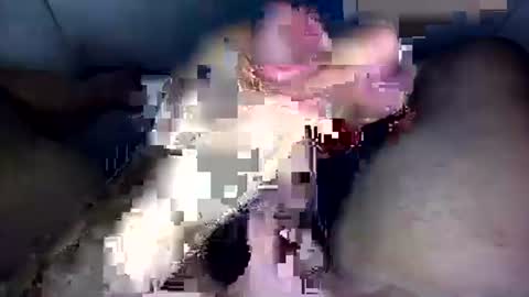 zezin1 online show from September 19, 3:30 am