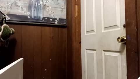 zfdcuvxqqtzh online show from November 10, 3:27 am