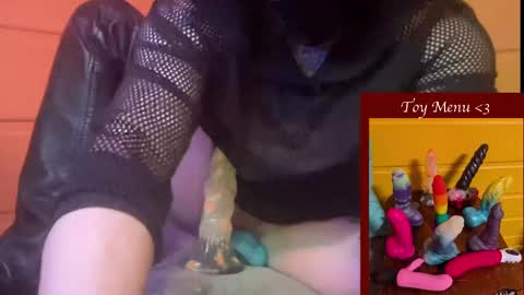 Snapshot of ziggystarpup chatting on January 6, 4:36 am Ziggy online show from January 6, 4:36 am