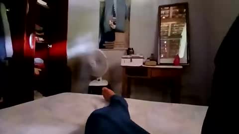 zitojose73 online show from November 4, 5:12 pm