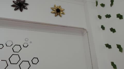 Carolina online show from October 20, 8:31 pm