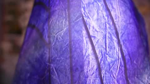Snapshot of zoey_fox_ chatting on April 8, 11:27 pm zoey fox online show from April 8, 11:27 pm