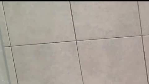 Zoey Portland online show from October 28, 9:24 am