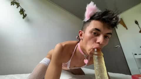 Zorrosumiso online show from August 6, 8:44 pm