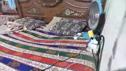 zoyakhan803 online show from February 12, 10:05 pm