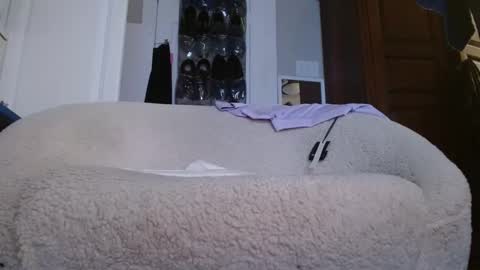 zymase online show from January 4, 11:27 pm