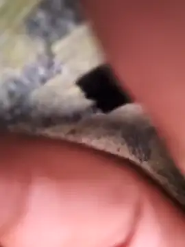 Snapshot of rajstrip12650 chatting on February 2, 11:53 pm rajstrip12650 online show from February 2, 11:53 pm