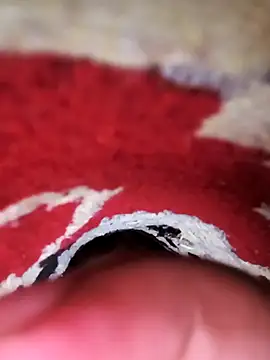 Snapshot of rajstrip12650 chatting on February 9, 1:11 am rajstrip12650 online show from February 9, 1:11 am