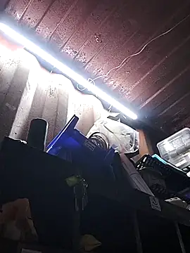 rajstrip12650 online show from December 18, 9:26 am