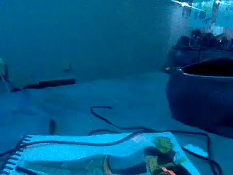 Fr4nk1eFFuxxx online show from January 3, 9:36 am