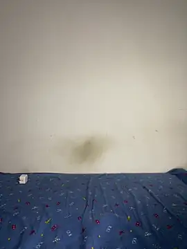 Snapshot of BandySL chatting on December 13, 2:54 am BandySL online show from December 13, 2:54 am