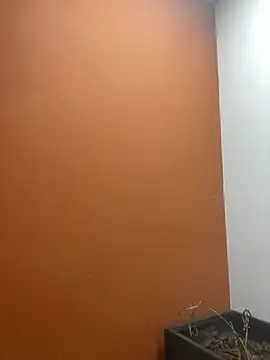 YesTheSexiest online show from November 11, 9:20 am