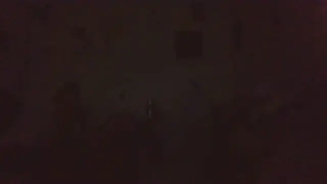paradisejas online show from July 11, 4:04 am