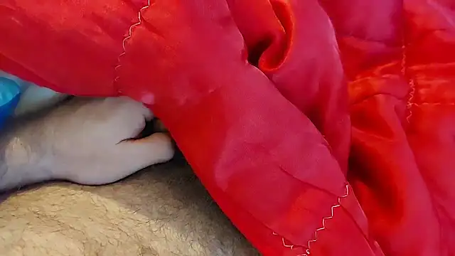 Ettarak online show from February 8, 12:14 am