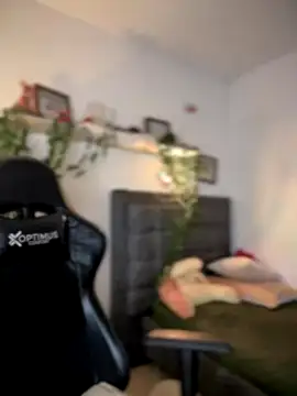 Lia flowers online show from September 14, 12:54 am