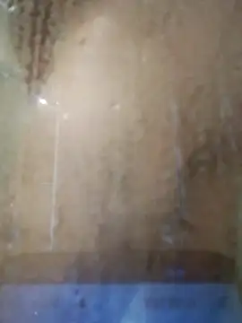 stiffandlubedxh online show from November 23, 7:46 pm