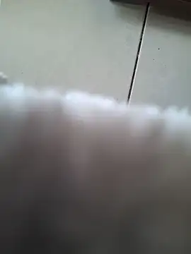 biboii online show from February 8, 3:00 pm