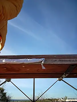 Snapshot of bellapaty chatting on March 30, 8:04 am bellapaty online show from March 30, 8:04 am