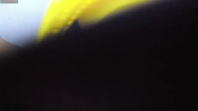 Snapshot of Alice_bloom_ chatting on January 13, 5:57 am Alice bloom online show from January 13, 5:57 am