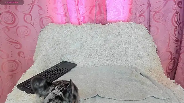 iisabella gonzalez online show from September 13, 8:08 pm