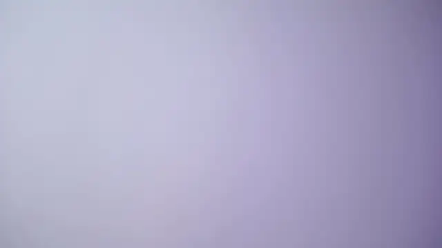 LesaisMore online show from February 12, 8:06 am