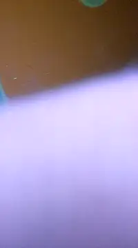 ducicsajsziii online show from January 28, 5:54 am