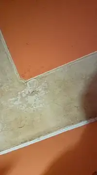 ducicsajsziii online show from March 19, 3:08 pm