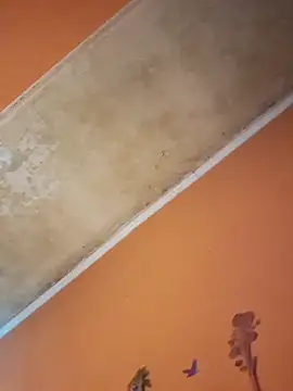 ducicsajsziii online show from December 19, 12:45 pm