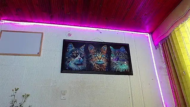 Niky 777 online show from February 5, 4:25 pm