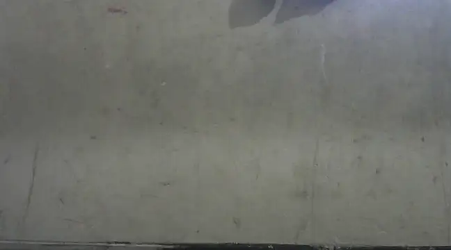 shekira99 online show from January 2, 2:43 am