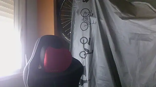 porkorossy online show from May 28, 7:16 am