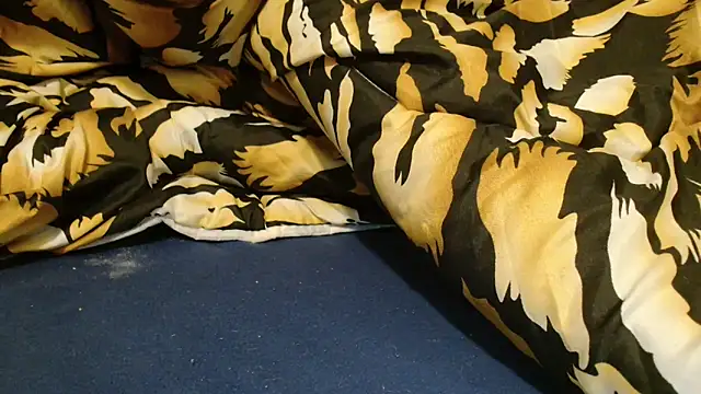 Snapshot of ROXYNL chatting on December 4, 10:57 am ROXYNL online show from December 4, 10:57 am