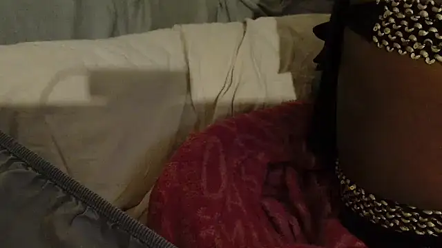 Snapshot of ROXYNL chatting on February 8, 1:11 am ROXYNL online show from February 8, 1:11 am