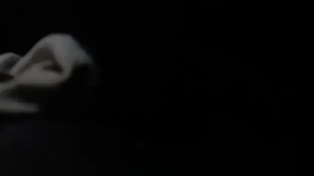 VARGAcz online show from February 4, 1:50 pm