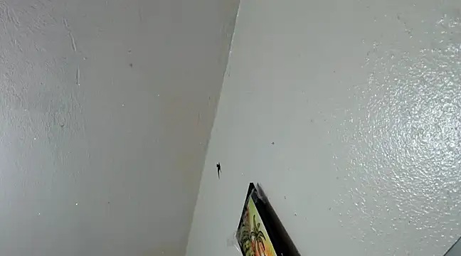 Snapshot of katery_wok11 chatting on March 21, 7:33 am katery wok11 online show from March 21, 7:33 am