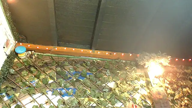 Bigboobs6930 online show from January 24, 5:31 am