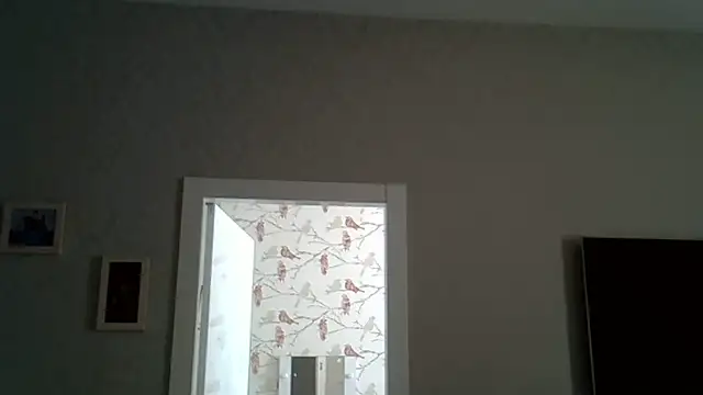 ZarinaSwift online show from June 17, 9:45 am
