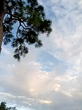 Snapshot of Hotbodyscottie chatting on October 5, 11:41 am Hotbodyscottie online show from October 5, 11:41 am