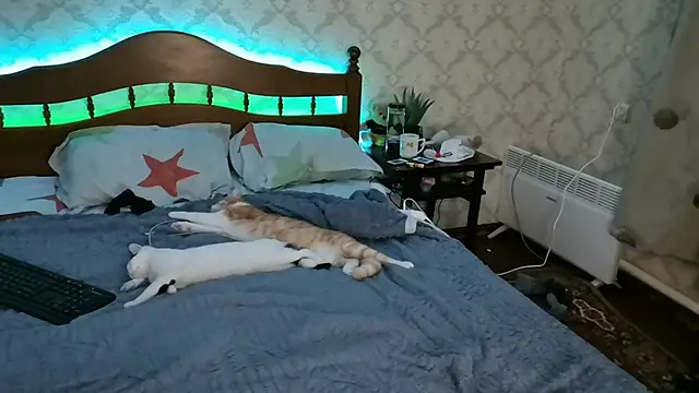 Snapshot of FelvivalKitty chatting on January 8, 9:23 pm FelvivalKitty online show from January 8, 9:23 pm