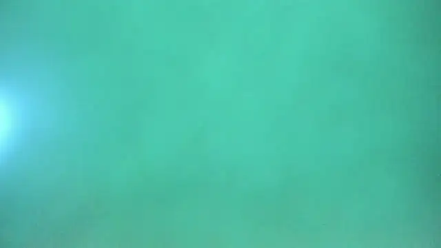 Snapshot of Harleysexycrazy chatting on December 12, 4:04 am Harleysexycrazy online show from December 12, 4:04 am